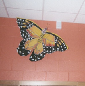 How did this butterfly get to be so BIG?